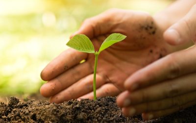 Understanding Yourself, Understanding Others